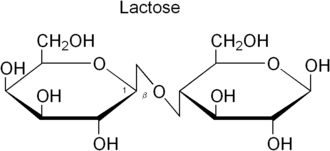 Изображение молекулярной модели