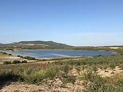 Мартин-де-ла-Хара