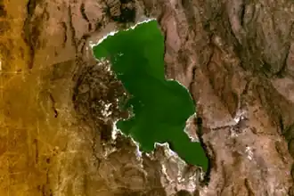 Снимок озера Элментейта из NASA World Wind