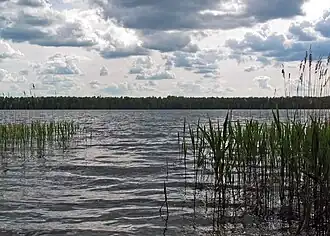 Восточное побережье озера летом 2004 года