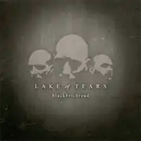 Обложка альбома Lake of Tears «Black Brick Road» (2004)