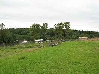 посёлок в 2009 году