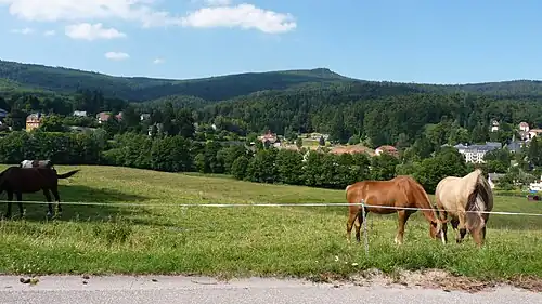Вид на коммуну с пастбища