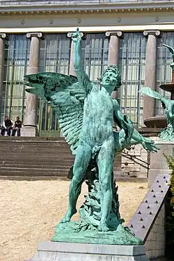 Лавр, Брюссельский ботанический сад