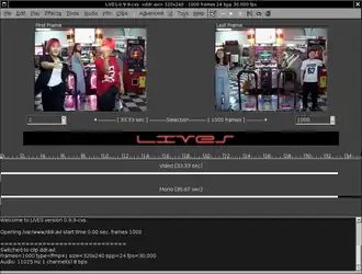 Скриншот программы LiVES