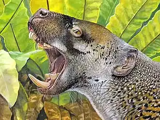 Wakaleo oldfieldi (реконструкция)