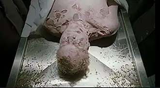 Убитый охранник. Из-за отсутствия нужного манекена, актер был осыпан живыми личинками.