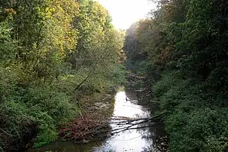 Река Лобь в парке на месте усадьбы Лотошино (2015)