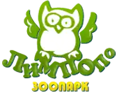 Изображение логотипа