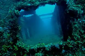 Затонувший Токаи-Мару на дне бухты Апра