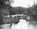 Река Лос-Анджелес в парке. Фото сделано между 1898 и 1910 г.