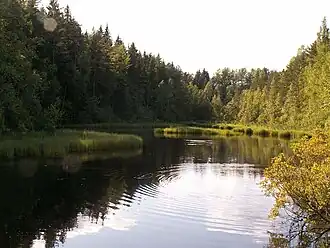 Озеро-разлив перед ж.д. мостом на речке Серебристой. Фото 2006 г.