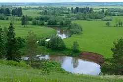 Лоза около деревни Сундур