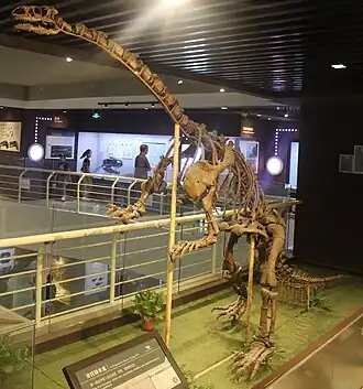 Голотип L. huenei, Палеонтологический музей Китая