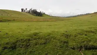 Место битвы при Куаспуде