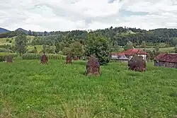 Луга в Лункою-де-Жос