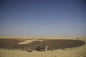 Мемориал рейсу 772