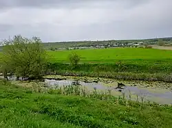 Ботна в верхнем течении, у села Бардар.