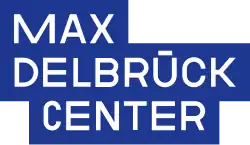 Изображение логотипа