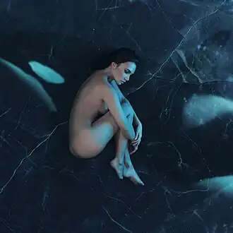 Обложка альбома Ольги Серябкиной «Косатка в небе» (2019)