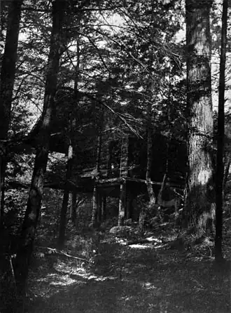 Бревенчатая хижина Мак-Доуэллов в Питерборо