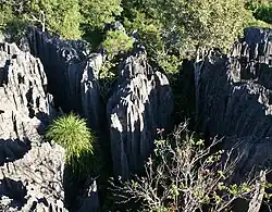 Скальные массивы «цинги» в заповеднике Цинги-де-Бемараха, Мадагаскар. Фото Игоря Сида.