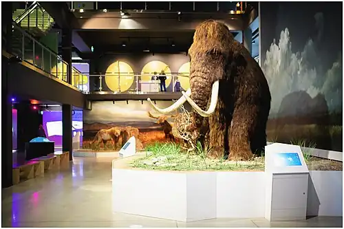 Главный зал «Центра ледникового периода»