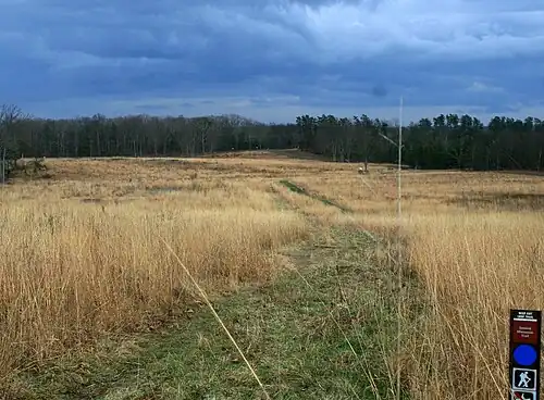 Поле атаки Портера