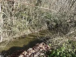 Река Мануар