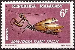 Богомол Tisma freyi на марке Мадагаскара 1966 года