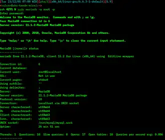 Скриншот программы MariaDB