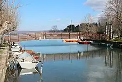 Река в районе истока