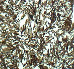 микроструктура мартенсита