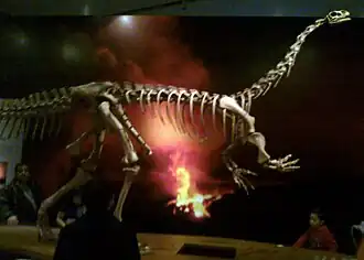 Скелет в Королевском музее Онтарио