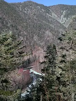 Река Максимовка в верхнем течении