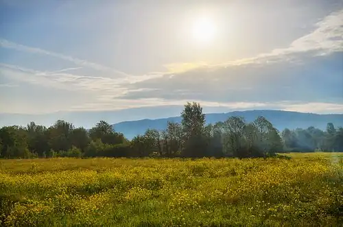 Пойма Зигана недалеко от деревни Зигановка