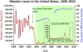 Measles cases 1938—1963 followed a highly variable epidemic pattern, with 150,000-850,000 cases reported per year. A sharp decline followed introduction of the first measles vaccine in 1963, with fewer than 25,000 cases reported in 1968. Outbreaks around 1971 and 1977 gave 75,000 and 57,000 cases, respectively. Cases were stable at a few thousand per year until an outbreak of 28,000 in 1990. Cases declined from a few hundred per year in the early 1990s to a few dozen in the 2000s.