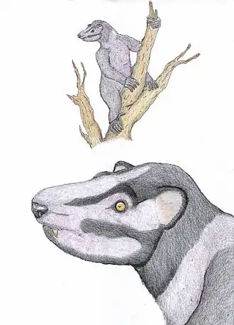 Реконструкция Megaladapis edwardsi