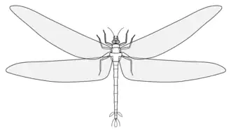 Реконструкция Meganeuropsis permiana