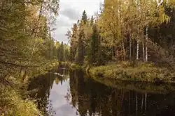 Мехреньга около Елсозера в сентябре 2015 года