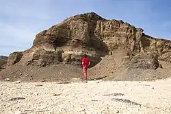 Древние депозиты-отложения на пляже