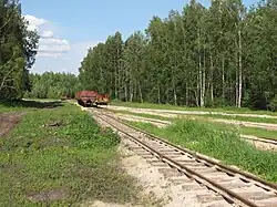 Пути возле торфобрикетного завода, вид в сторону торфополей