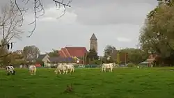 Мёлебеке[нидерл.]