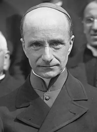 Пьер Пети де Жюльвиль