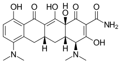 Minocycline structure