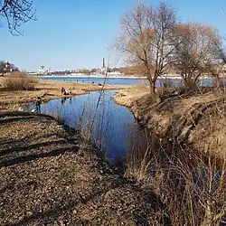 Устье Мирожки: при впадении в Великую. Вдали — Кром