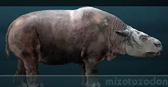 Миксотоксодон (Mixotoxodon larensis)
