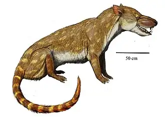 Реконструкция Mongolonyx robustus
