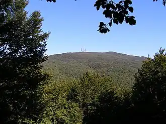 Гора Соро (15 августа 2005 г.).