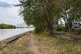 Берег в районе Нагатинского рукава (2023)